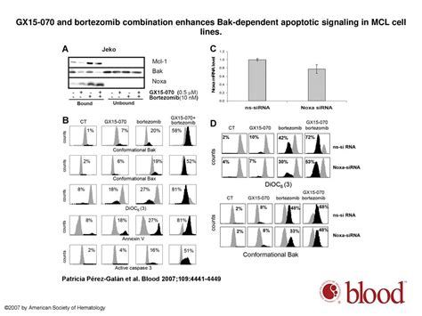 The Bh Mimetic Gx Synergizes With Bortezomib In Mantle Cell Lymphoma