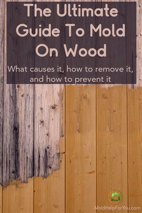 How Toremove Mold From Wood Howtoremvo