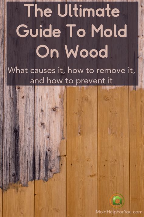 How To Remove Mold From Wood HOWTOREMVO