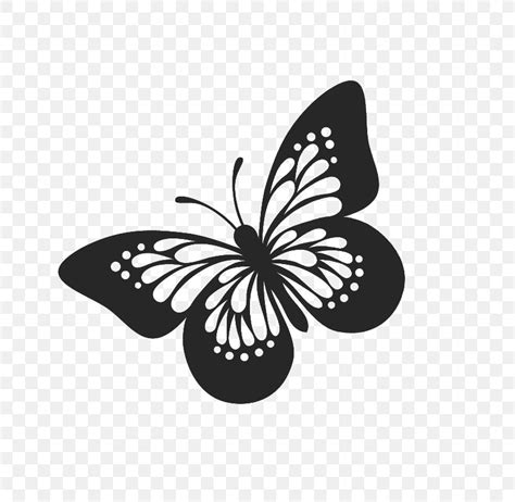 Butterfly Clip Art Vector Graphics Free Content Png X Px