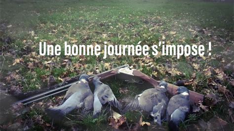 Chasse Pigeon Ramier Appelant Vivant Youtube