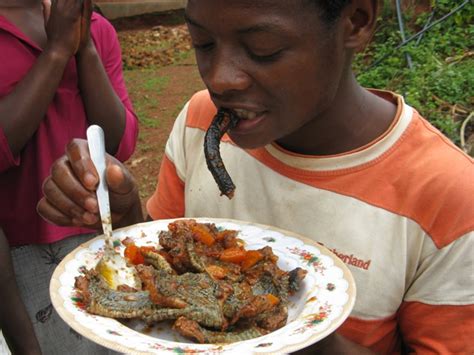 Africa Renewal University: Eating Snake...