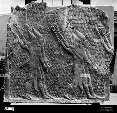 Ancient warfare/The Assyrians army included units of slingmen, whose ...