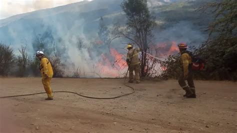 Advierten Condiciones Extremas De Riesgos De Incendios Forestales Diario