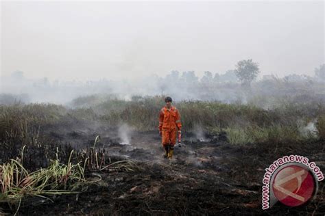 BENCANA ASAP Sumatera Selatan Paling Luas Terbakar ANTARA News