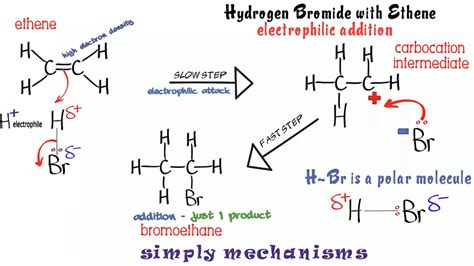 Alkenes: electrophilic addition - Ace Chemistry