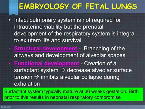 Ultrasound Evaluation Of Fetal Thorax Ppt