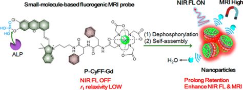 Activatable Nir Fluorescencemri Bimodal Probes For In Vivo Imaging By