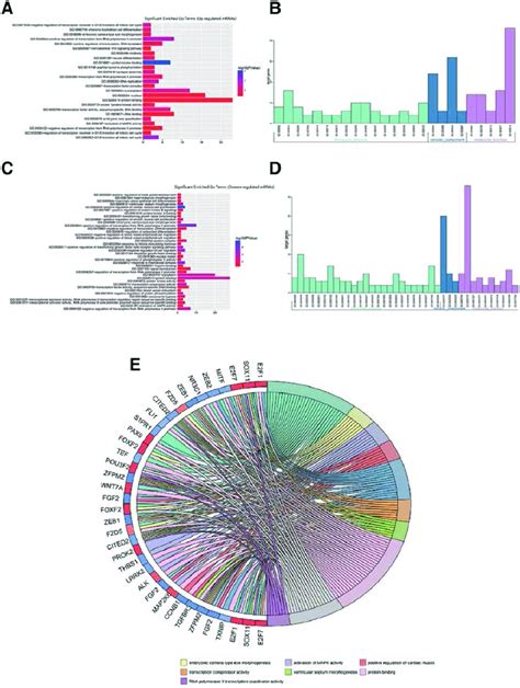 Go Analysis Of Demrna In Ec A And B Go Annotation Of Upregulated