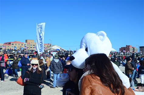 Long Beach Polar Bears 2012 Long Beach Polar Bears 2012 Flickr