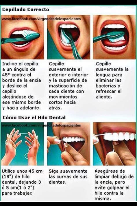 Técnica De Higiene Dental Salud Bucal Cepillado Dental Salud Dental