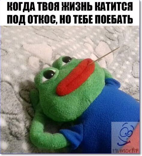 Смешные фото онлайн (99 картинок и фотографий)