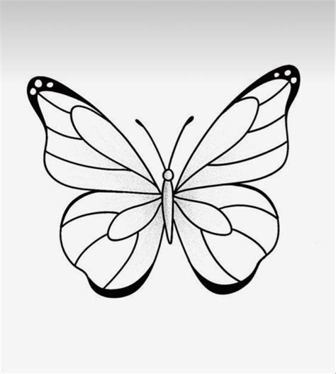 Pin By Shenanigans On New Leaf Butterfly Art Drawing Easy