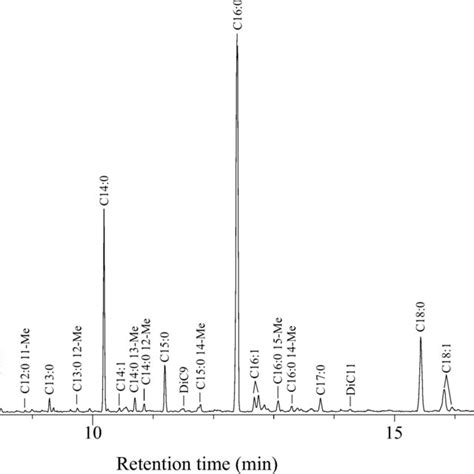 Total Ion Chromatogram Obtained By Gc Ms Of Fatty Acid Methyl Esters Download Scientific