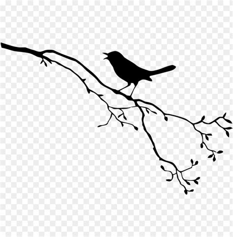 Bird On Branch Silhouette Png Image With Transparent Background Toppng