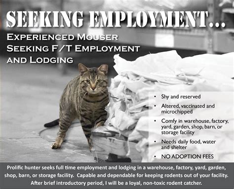 Working Cats Program