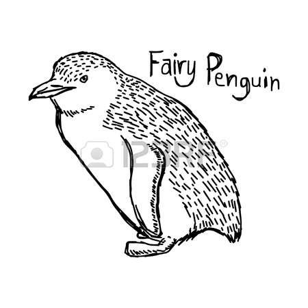 Download Fairy Penguin clipart for free - Designlooter 2020 👨‍🎨