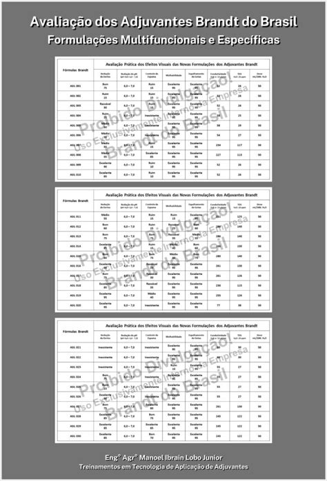 Avalia O Pr Tica Dos Adjuvantes Brandt Excel Ncia Na Tecnologia De