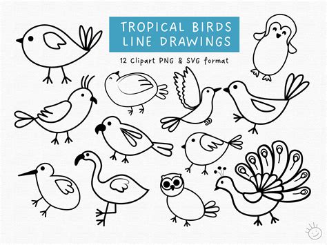 Birds SVG Clipart Outline Bird Png Clipart Birds Svg Bird - Etsy