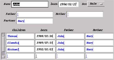 Graphical User Interface Examples