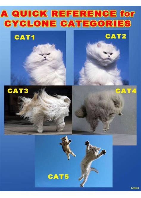 Pictorial guide to cyclone categories : r/brisbane