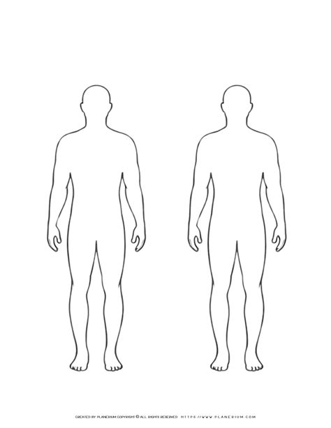 Two Man Human Body Outline Printable For Fun Learning