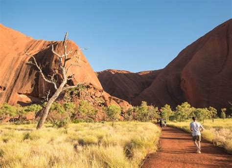 6 First Nations Bush Foods You Need To Try In Australia