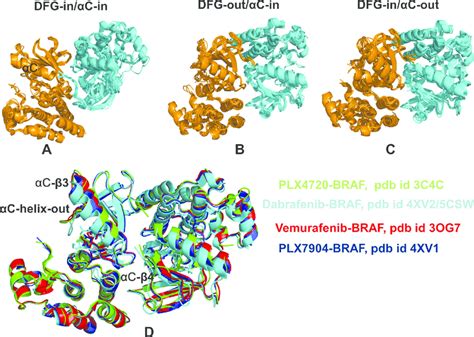 Structural Landscape Of The BRAF Kinase Dimer Complexes With Small