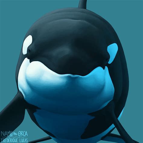 Hello New Avatar By Namu The Orca On Deviantart