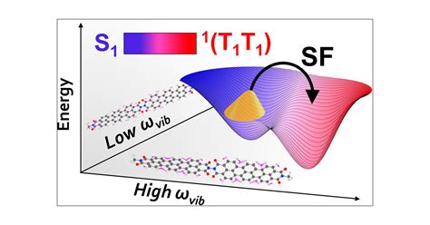 Influence Of Vibronic Coupling On Ultrafast Singlet Fission In A Linear