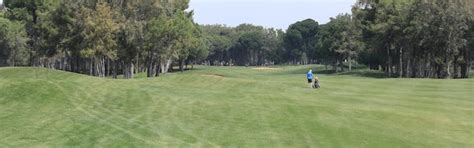 Campo de golf verde panorámico con bosque Foto Premium