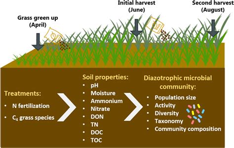 Prentice Hall Biology Nitrogen Cycle