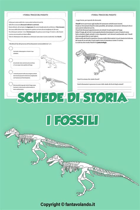 Schede di storia classe terza i fossili Schede Storia Attività