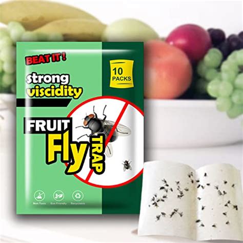 Fruit Fly Traps For Indoors10 Pack Fruit Fly Trapgnat Killer Indooreffective Fruit Fly Trap