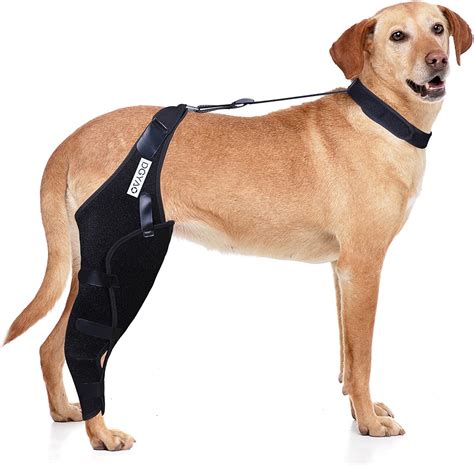 DGYAO Rodillera para perro para ACL dislocación de la rodilla artritis