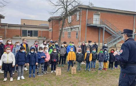 Un Albero Per Il Futuro A Scuola Alla Rodari Il Ficus Del Giudice Falcone