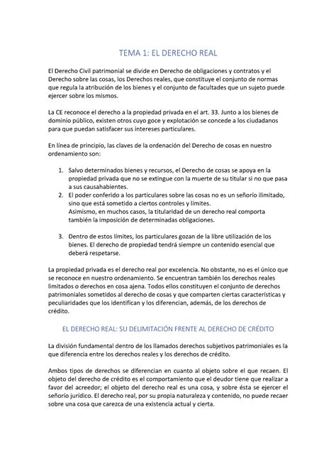 TEMA 1 Dº Patrimonial II TEMA 1 EL DERECHO REAL El Derecho Civil