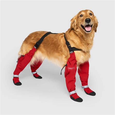 Suspender Dog Boots Canada Pooch