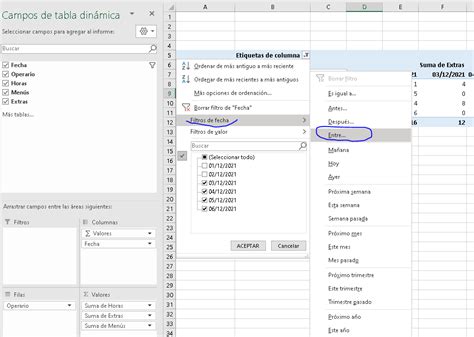 Excel Filtrar tabla dinámica entre dos fechas