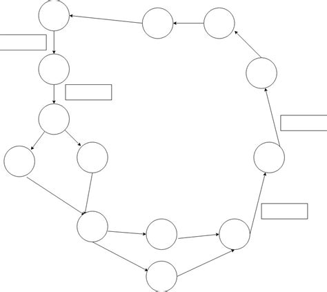 Blood Flow Diagram Quizlet