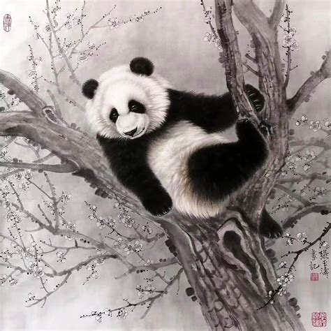 Chinese Panda Painting zyt41227024, 68cm x 68cm(27〃 x 27〃)