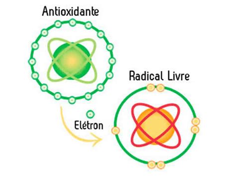 O Que S O Radicais Livres E Antioxidantes E Como Influenciam No Seu