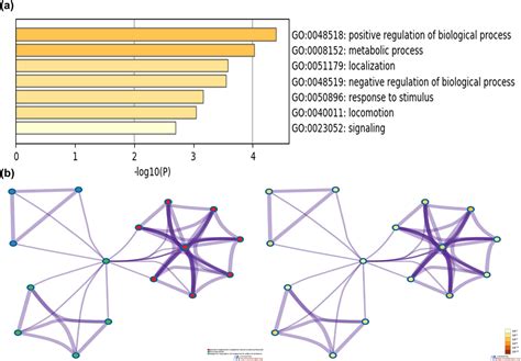 An Immune Relevant Signature Of Nine Genes As A Prognostic Biomarker In