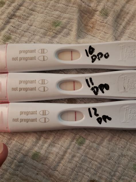 10 Days After Ovulation Negative Pregnancy Test