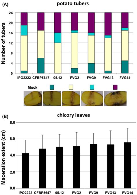 Ijms Free Full Text Clonality And Diversity In The Soft Rot Dickeya Solani Phytopathogen