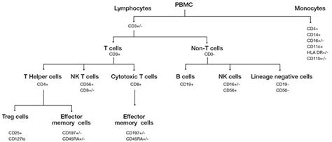 Flow Cytometry Experiment Process—spectral Versus Conventional Thermo