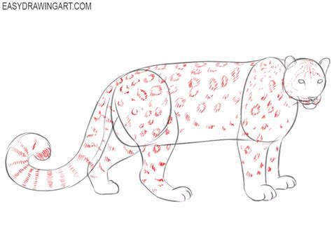 How To Draw A Snow Leopard Easy Drawing Art