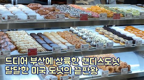 ️부산 빵순이들 주목 ️랜디스도넛 광안리점 1 19 정식오픈 🍩 달달한 미국 도넛의 매력에 빠져보세요🤍 Youtube