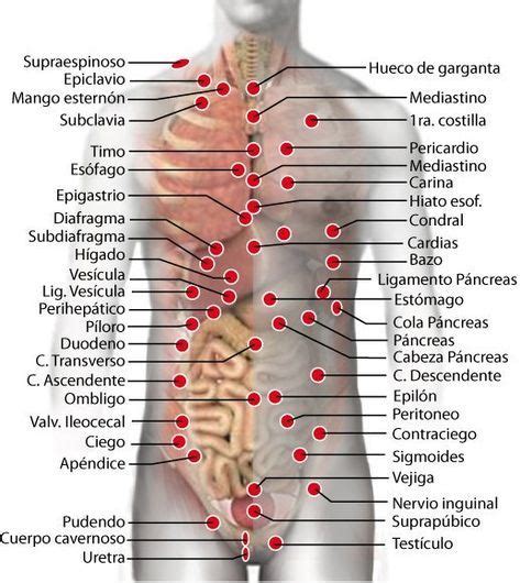 Graficos de Puntos de Rastreo para su localización en el cuerpo humano