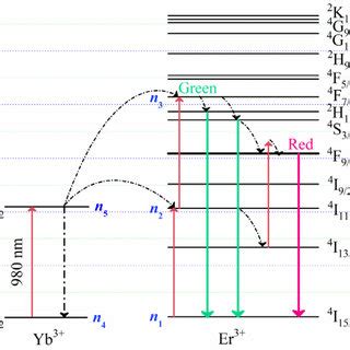 Schematic Energy Level Diagrams Of Yb And Er Ions And Posited